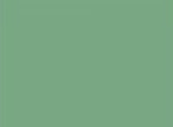 Chameleon — Paint surface