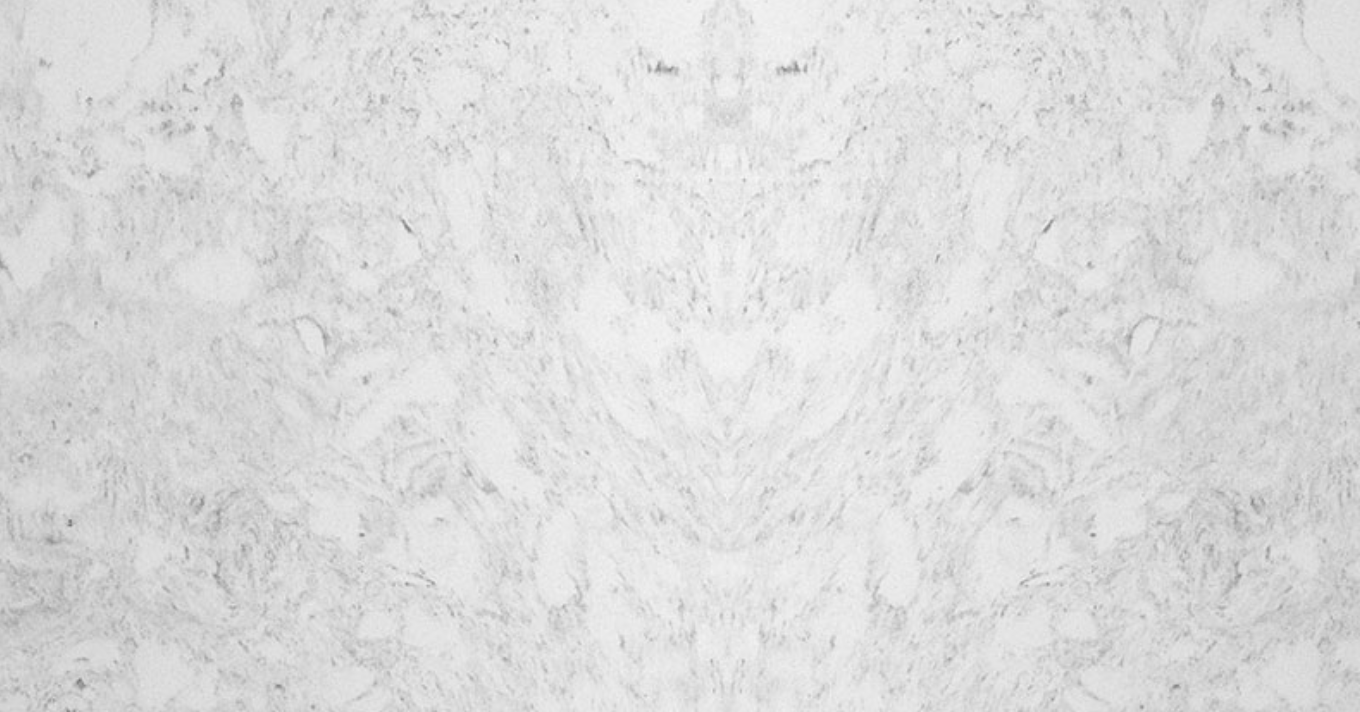 Carrara Victoria — quartz surface