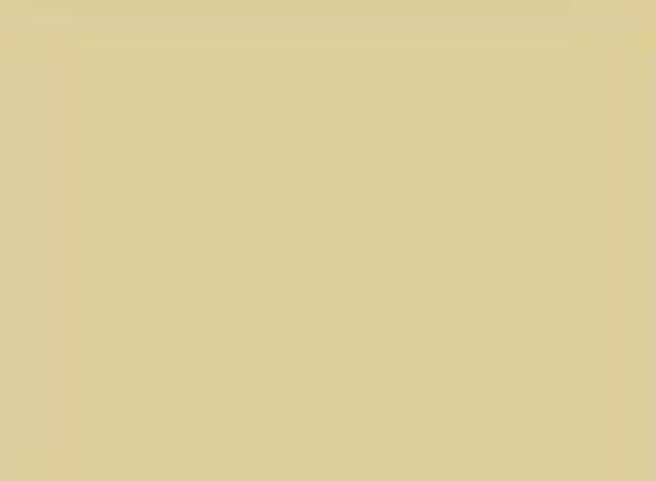 Comfy Tan — Paint surface