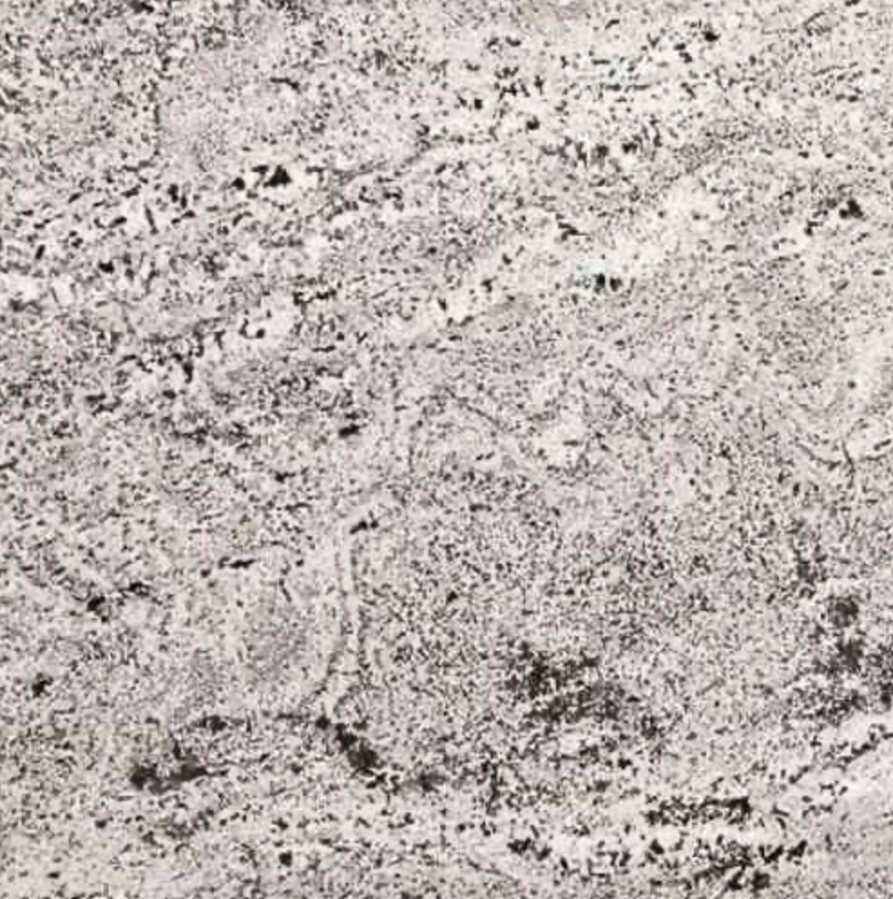 Biscotti White — granite surface