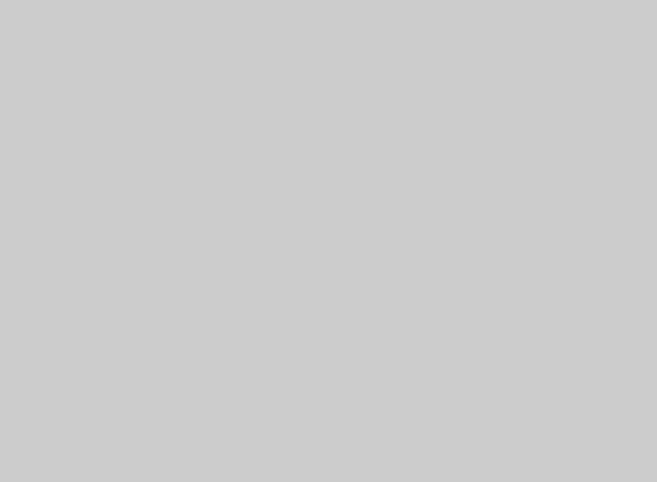 Dolphin Grey — Paint surface