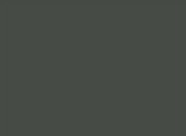 Crater Black — Paint surface
