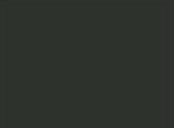 Black — Paint surface