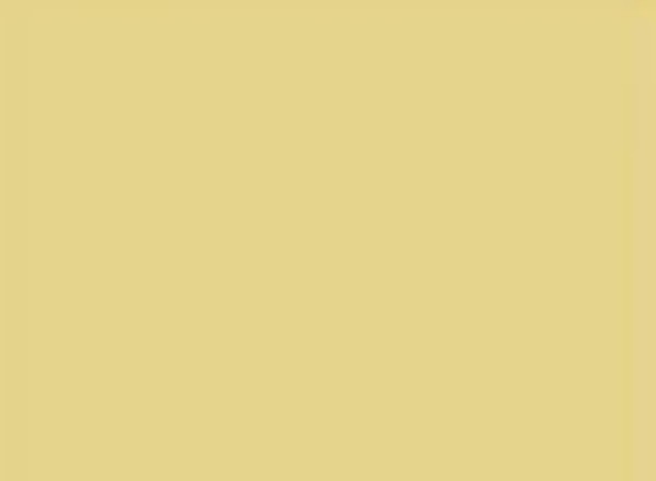Classic Silk — Paint surface