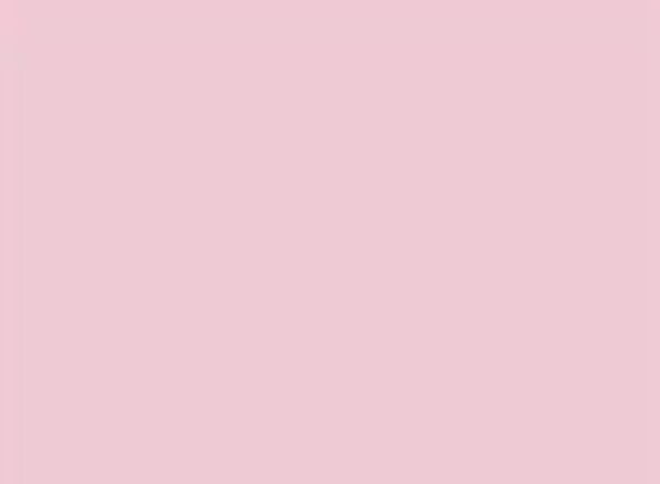 Ballerina Slipper — Paint surface