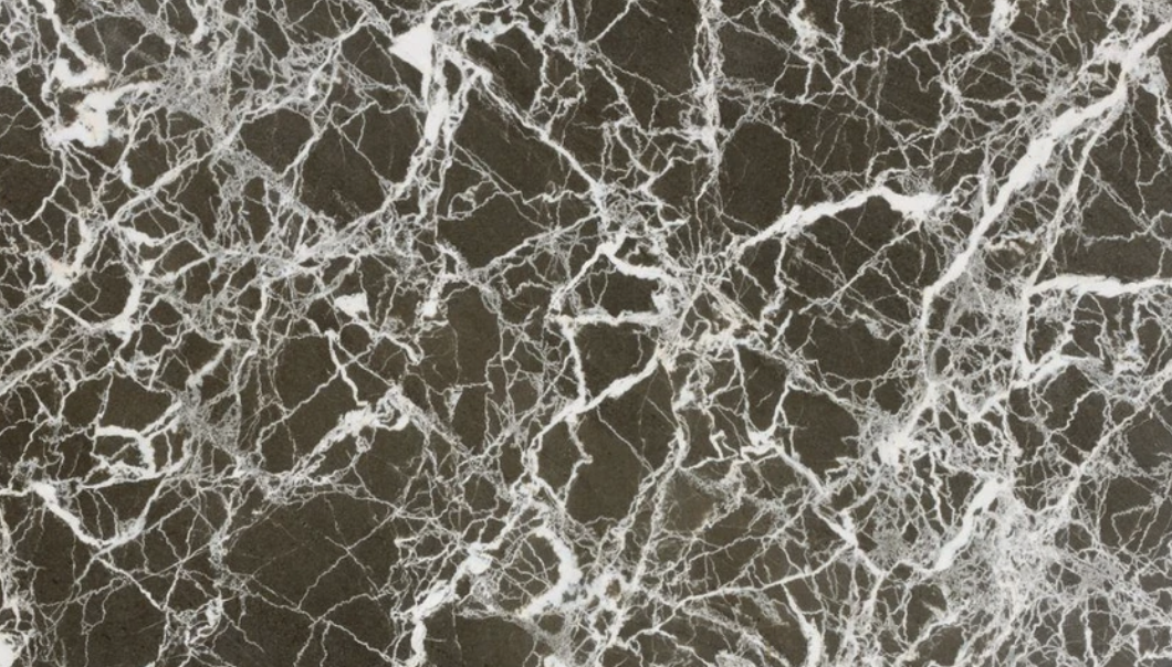 Baltic Crocodile — marble surface
