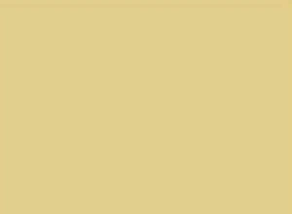 Dry Bamboo — Paint surface